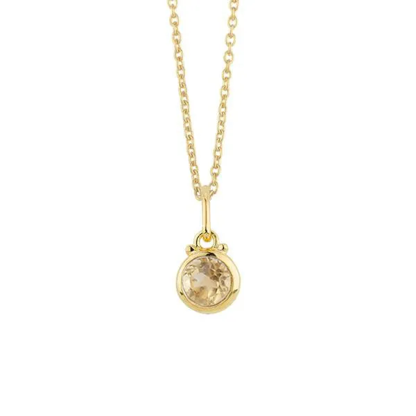 November Birthstone Charm Necklace in Gold